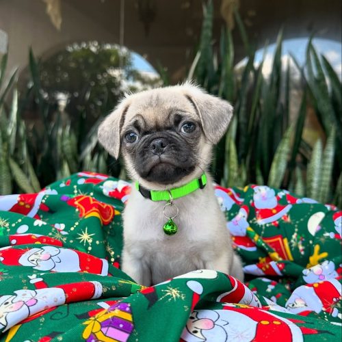 467813875_17855917791339755_2202512045692702396_n