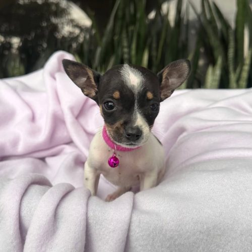 469727944_1111130800601718_4147162289563295257_n