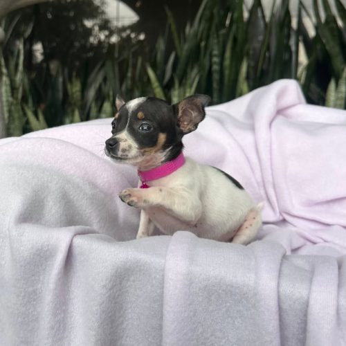 469736752_566397529651806_411335015159524980_n