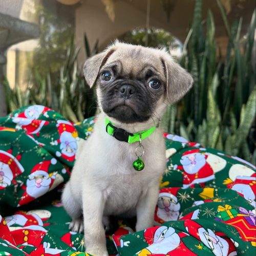 469736771_17855917818339755_1780461973651248122_n