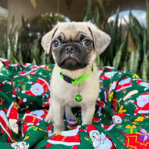 469743827_17855917761339755_6182603339564165884_n