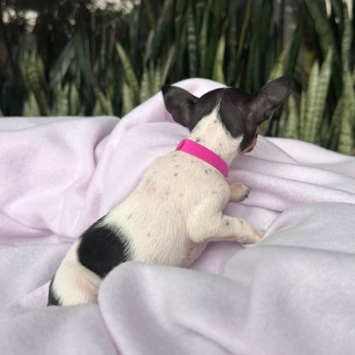 469749764_2596945140494623_4540769024682118933_n