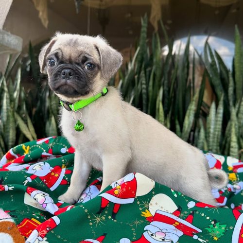 470166663_17855917773339755_5509451067019670492_n