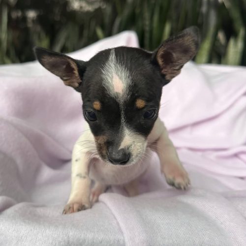 470348323_922855182831429_56636243286989358_n