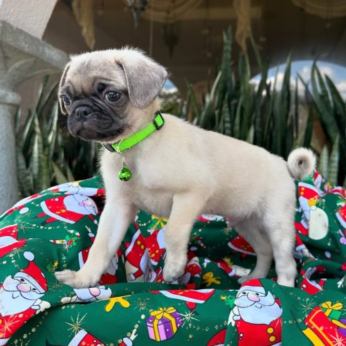 470473335_17855917827339755_965010627701742445_n