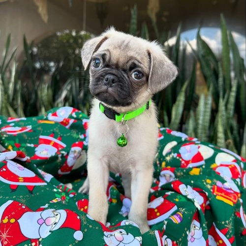 470481877_17855917836339755_2822070202175709460_n