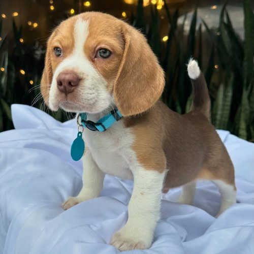 472241163_17860692771339755_8099562581531238838_n