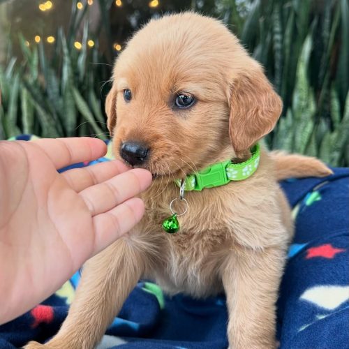 472731884_17860425690339755_7790798004632583526_n