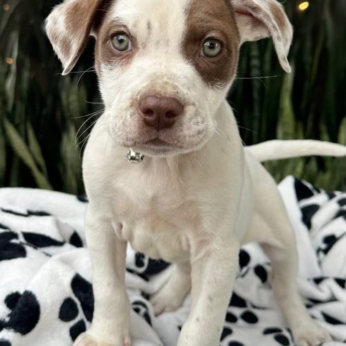 473079004_1266463684608661_7372767968455887376_n