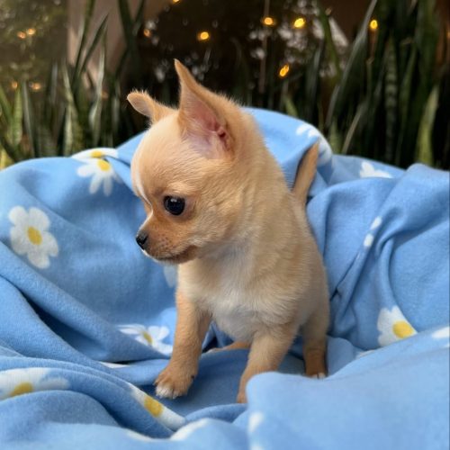 473708610_17860423332339755_8274609121478568845_n