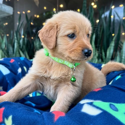 473716393_17860425699339755_7882947984590873331_n