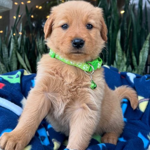 473718279_17860425633339755_865695007985633271_n