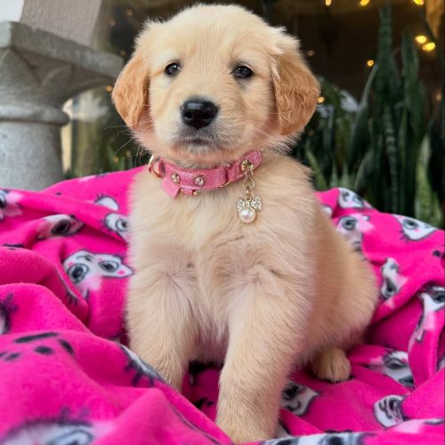 473721836_17860425516339755_8908071056831529838_n