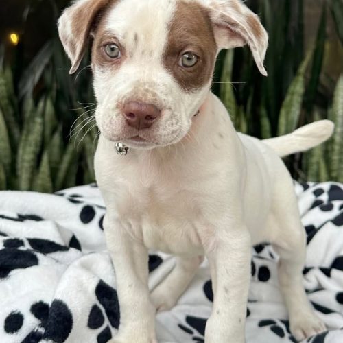 473722672_587123634053845_937458909702545108_n