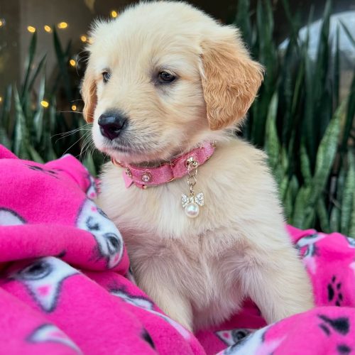 473722778_17860425534339755_4992583800484811577_n