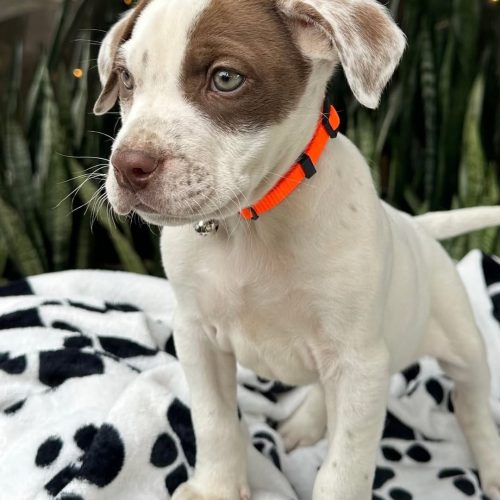 473724063_1181552156730967_3809547972583183529_n