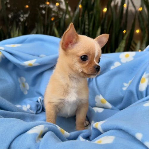 473731829_17860423386339755_9209566377486137100_n