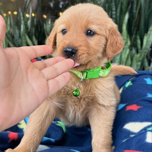 473733697_17860425645339755_7599679911267334509_n