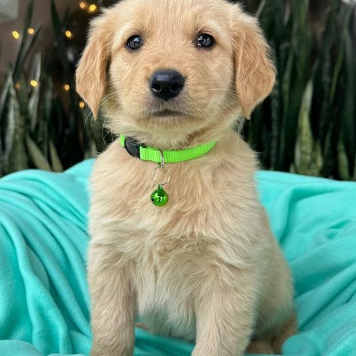 473739288_928440659374707_7202879079528368801_n