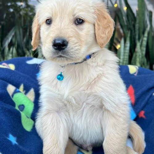 473742221_1407032156928415_4982071818463174740_n