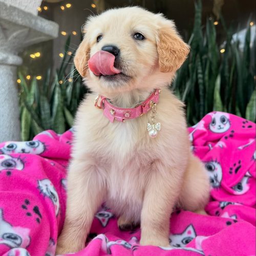 473745177_17860425498339755_7613825529427069472_n