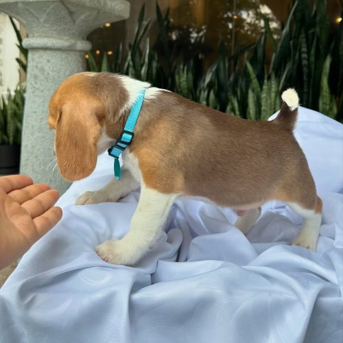 473750655_17860692816339755_38430696178415129_n