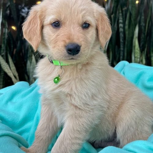 473787466_2958306667654081_5024313505216590977_n