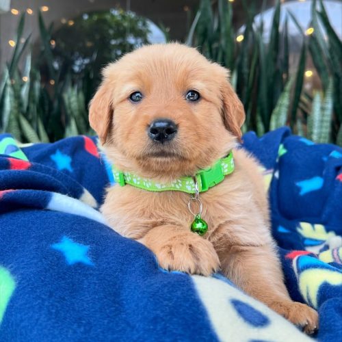 473828242_17860425681339755_1496144402520637624_n