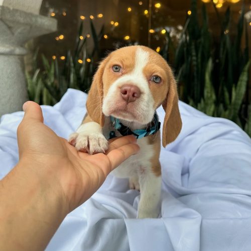 473902141_17860692855339755_2132618705331821952_n