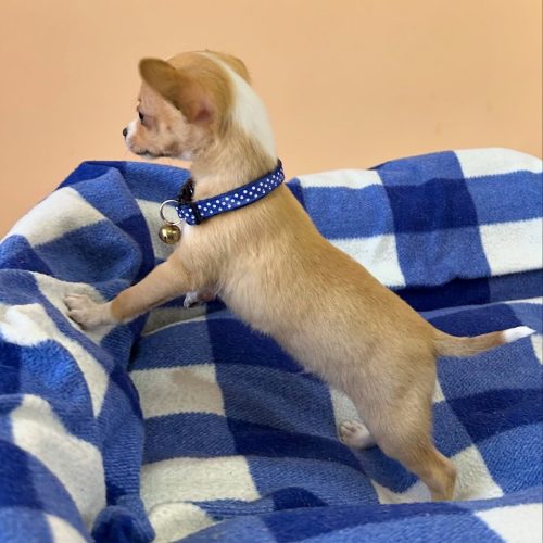 474767233_17861620935339755_8987844690948410627_n