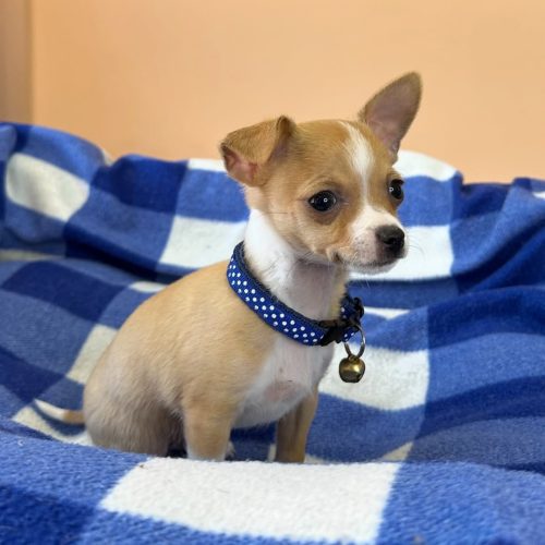 474769048_17861620944339755_3446781515737361752_n