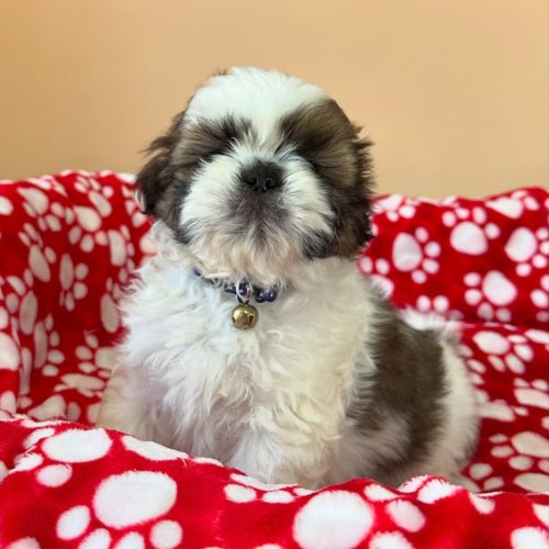 474777319_17861622354339755_7075487205451300589_n