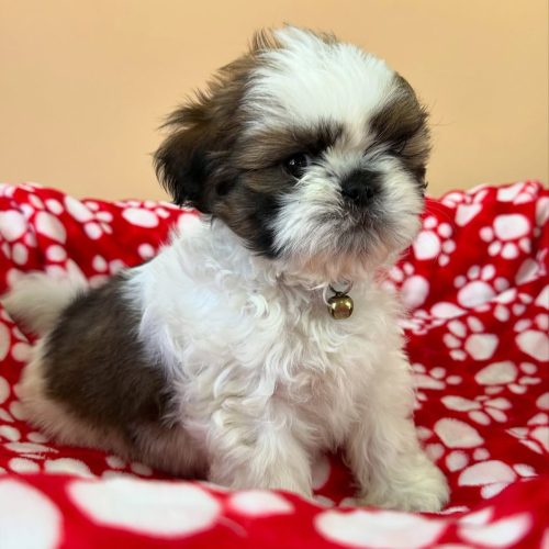 474841352_17861622312339755_8894103959868863479_n