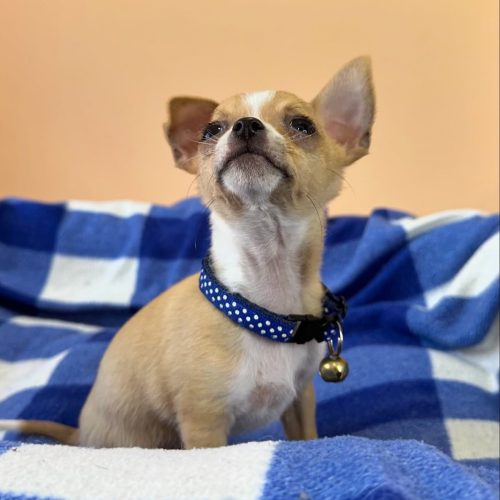 474842058_17861620998339755_1780661407608742299_n