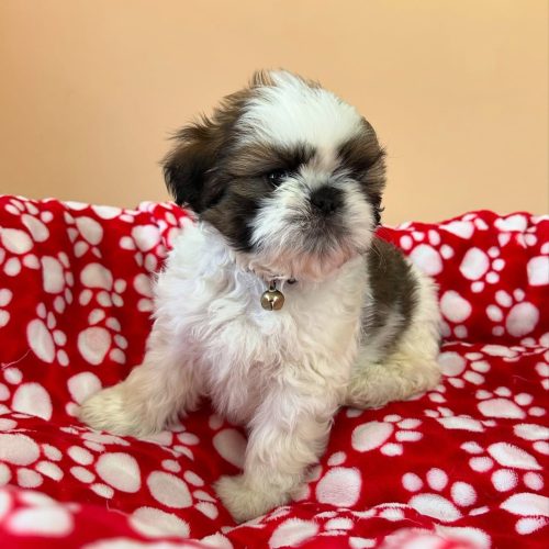 474913141_17861622420339755_2895979720152358143_n