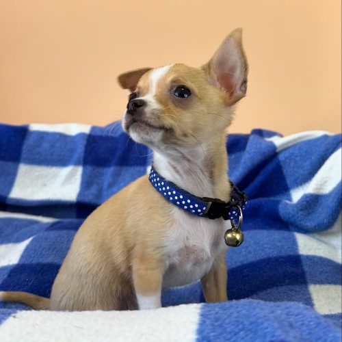 475060132_17861620914339755_383768237637749715_n