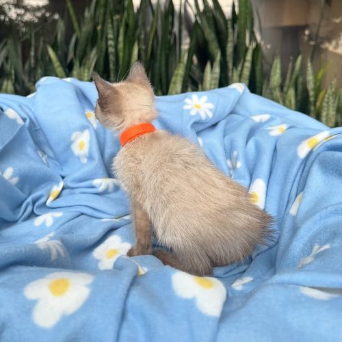 Snapinst.app_470153692_17855748171339755_7159412833212972318_n_1080